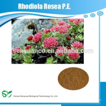 Natural y GMP certificado Rhodiola Rosea PE